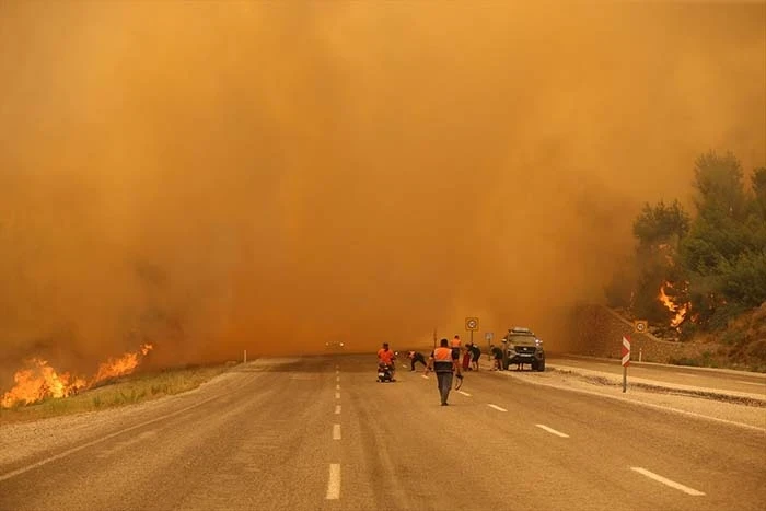 Muğla Yangınında Yol Kapatıldı!
